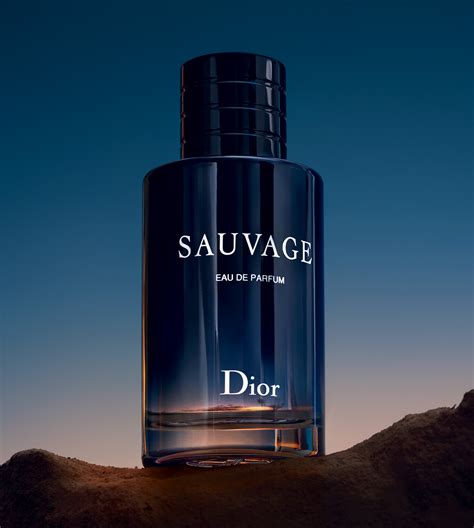 dior sauvage body